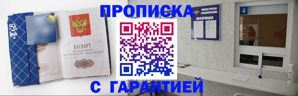 прописка для школы в Архангельской области